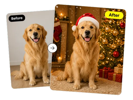 Usecase 3 Dog Before After Festive Christmas Scene