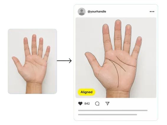 Usecase 3 Traced Palm Line Art In A Social Post