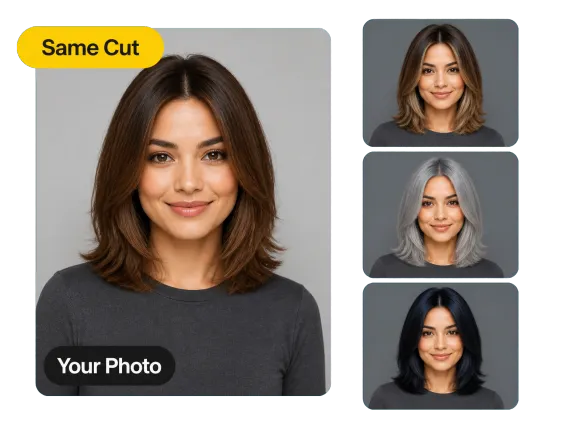 Usecase 4 Same Haircut Shown In Balayage Silver And Jet Black