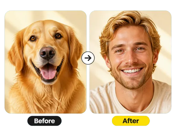 Usecase 1 Dog To Smiling Man Before After