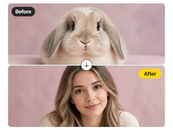 Usecase 3 Rabbit To Gentle Person Before After