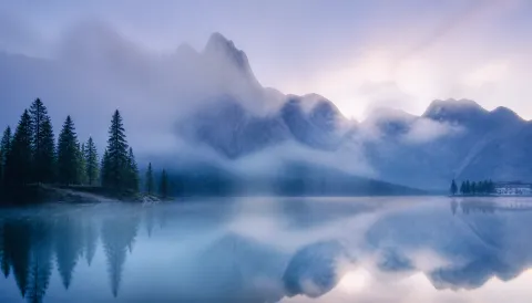 Misty Fog