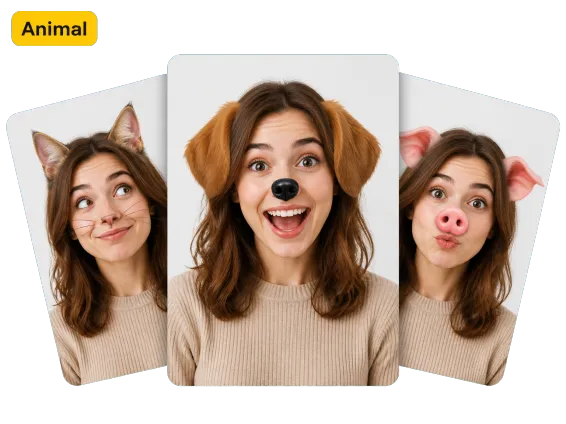 Usecase 2 Animal Dog Cat Pig Faces Same Woman