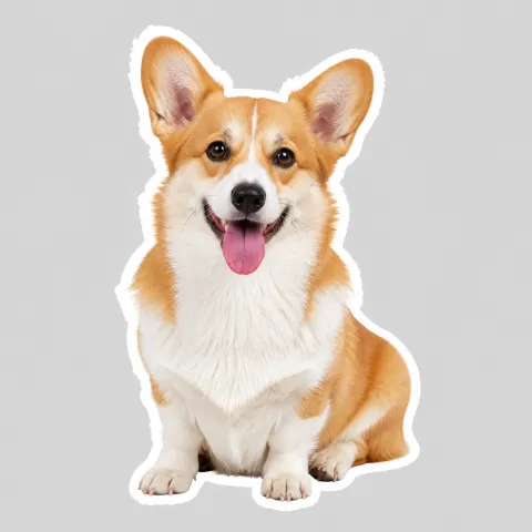 Corgi